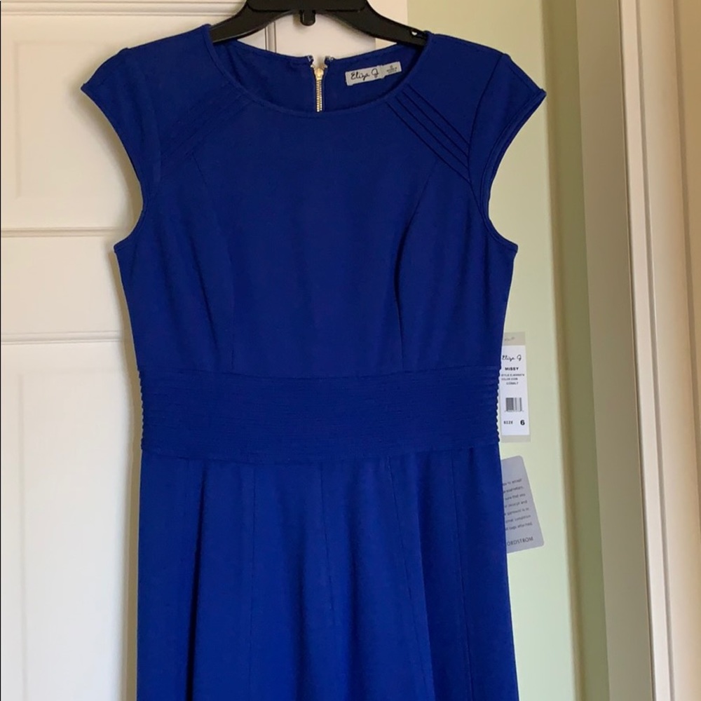 NWT , Eliza J Fit and Flare Dress.
